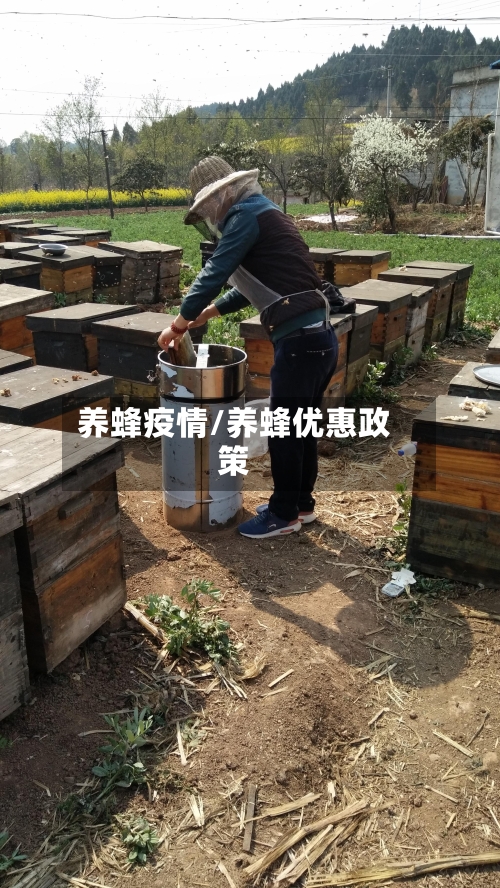 养蜂疫情/养蜂优惠政策
