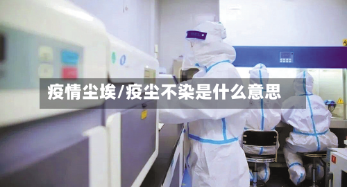 疫情尘埃/疫尘不染是什么意思
