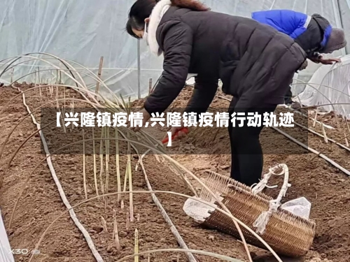 【兴隆镇疫情,兴隆镇疫情行动轨迹】