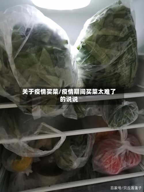 关于疫情买菜/疫情期间买菜太难了的说说