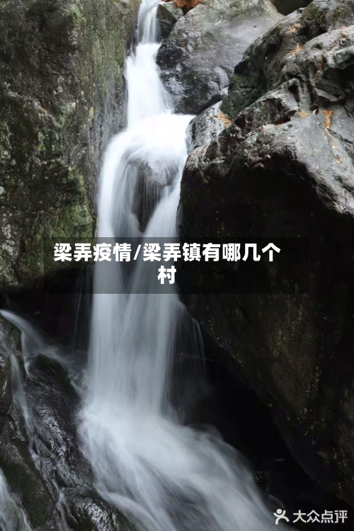 梁弄疫情/梁弄镇有哪几个村