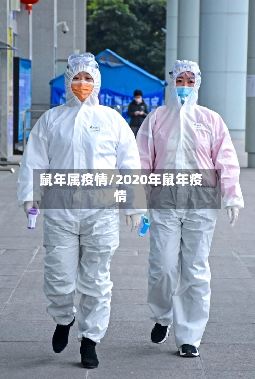 鼠年属疫情/2020年鼠年疫情