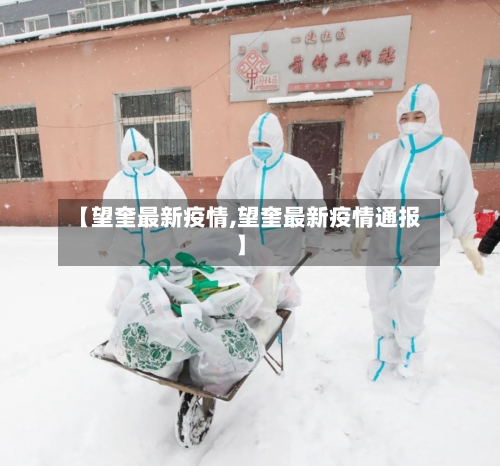 【望奎最新疫情,望奎最新疫情通报】