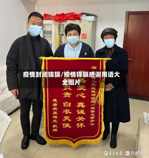 疫情封闭锦旗/疫情锦旗感谢用语大全图片