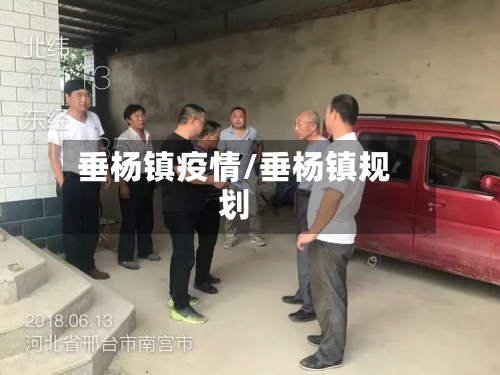 垂杨镇疫情/垂杨镇规划