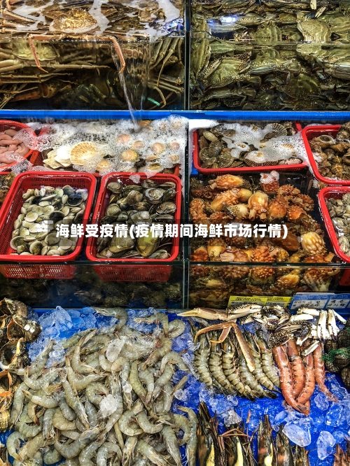 海鲜受疫情(疫情期间海鲜市场行情)
