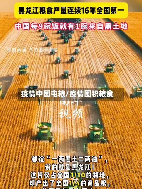 疫情中国屯粮/疫情囤积粮食