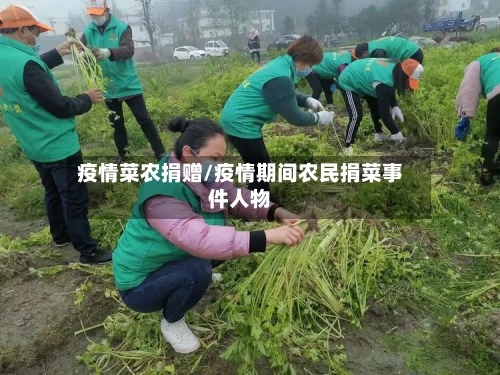 疫情菜农捐赠/疫情期间农民捐菜事件人物