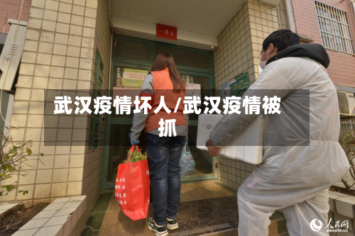 武汉疫情坏人/武汉疫情被抓