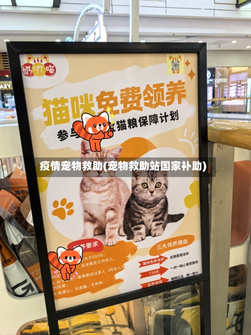 疫情宠物救助(宠物救助站国家补助)