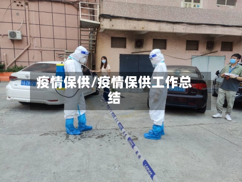 疫情保供/疫情保供工作总结