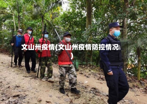 文山卅疫情(文山州疫情防控情况)