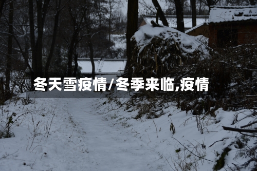 冬天雪疫情/冬季来临,疫情