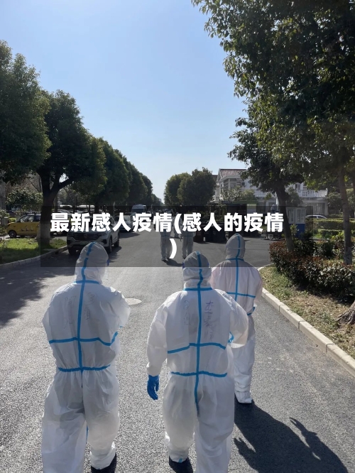最新感人疫情(感人的疫情)