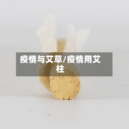 疫情与艾草/疫情用艾柱