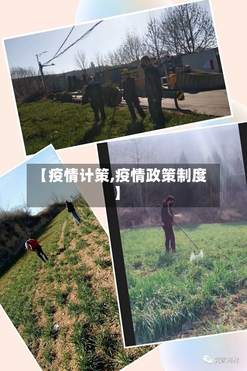 【疫情计策,疫情政策制度】