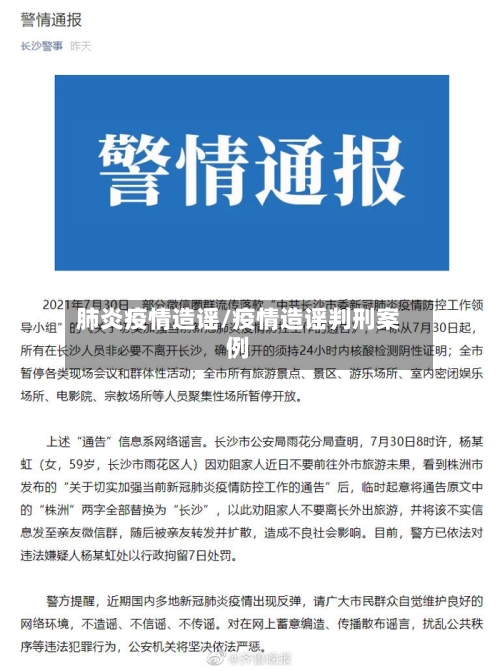 肺炎疫情造谣/疫情造谣判刑案例