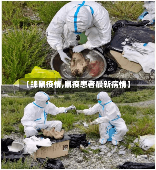 【蜱鼠疫情,鼠疫患者最新病情】