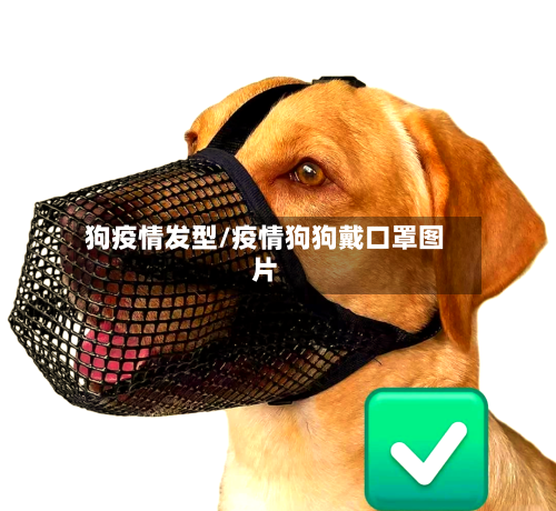 狗疫情发型/疫情狗狗戴口罩图片