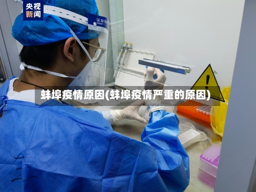 蚌埠疫情原因(蚌埠疫情严重的原因)
