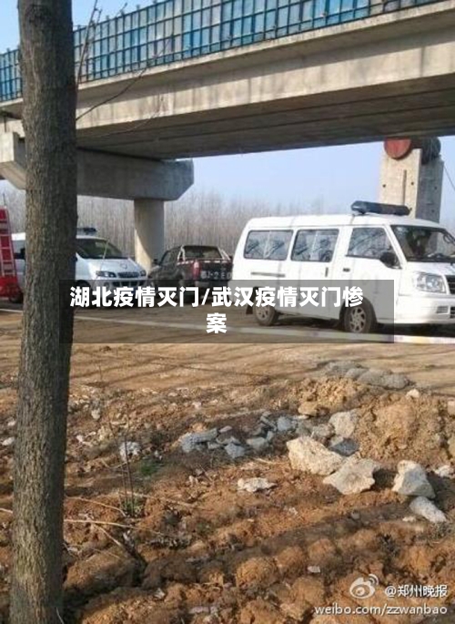 湖北疫情灭门/武汉疫情灭门惨案
