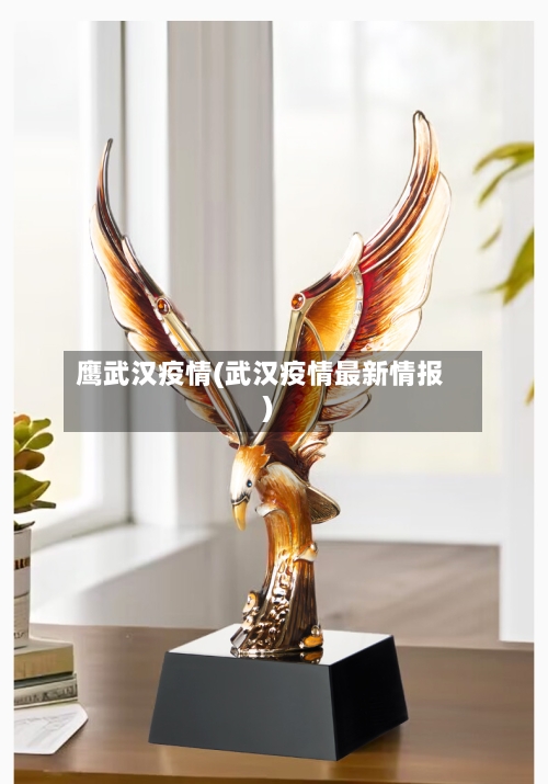 鹰武汉疫情(武汉疫情最新情报)