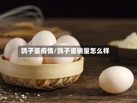 鸽子蛋疫情/鸽子蛋销量怎么样