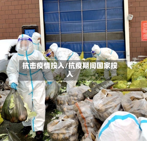 抗击疫情投入/抗疫期间国家投入