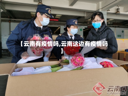 【云南有疫情吗,云南这边有疫情吗】