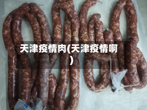 天津疫情肉(天津疫情啊)