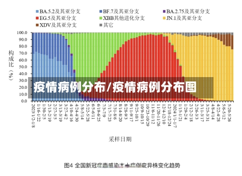 疫情病例分布/疫情病例分布图