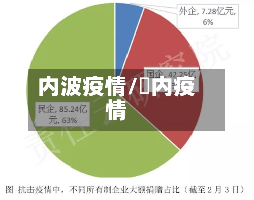 内波疫情/囩内疫情