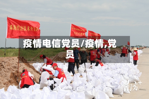 疫情电信党员/疫情,党员