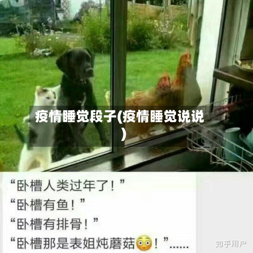 疫情睡觉段子(疫情睡觉说说)