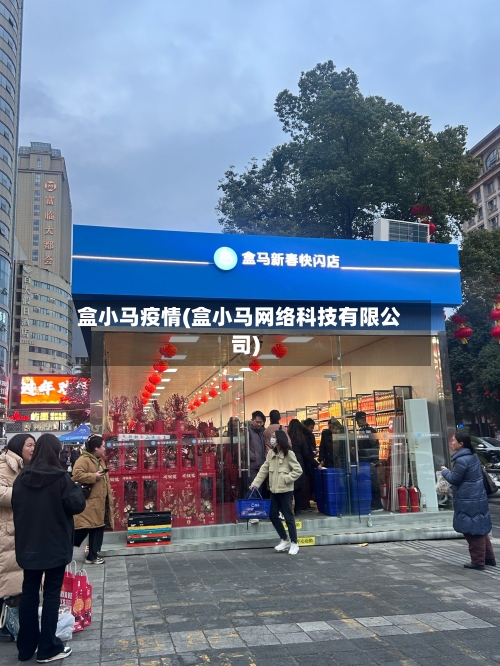 盒小马疫情(盒小马网络科技有限公司)