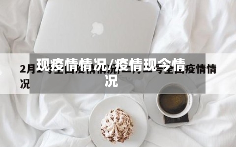 现疫情情况/疫情现今情况