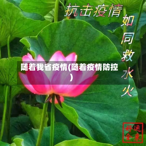随着我省疫情(随着疫情防控)