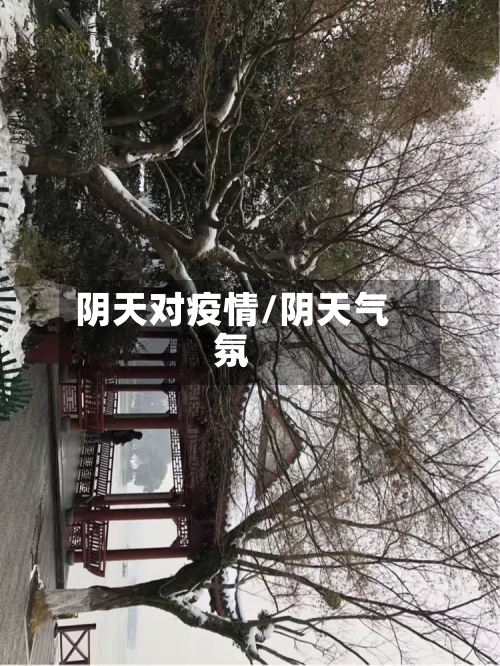 阴天对疫情/阴天气氛