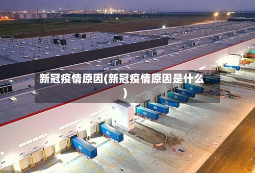 新冠疫情原因(新冠疫情原因是什么)