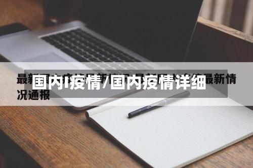 国内I疫情/国内疫情详细