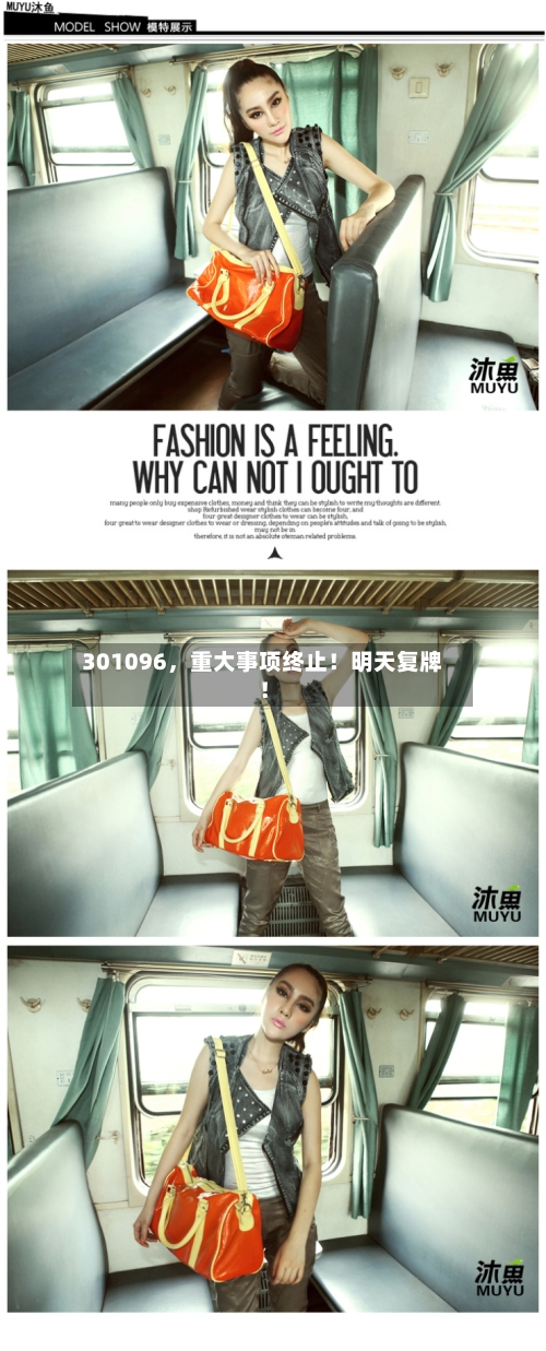 301096，重大事项终止！明天复牌！