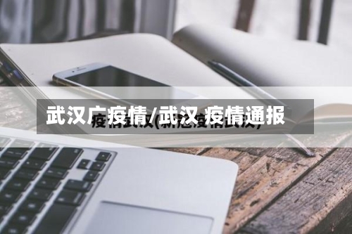 武汉广疫情/武汉 疫情通报