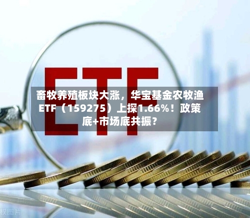 畜牧养殖板块大涨,华宝基金农牧渔ETF(159275)上探1.66%!政策底+市场底共振?