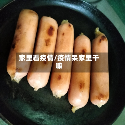 家里看疫情/疫情呆家里干嘛