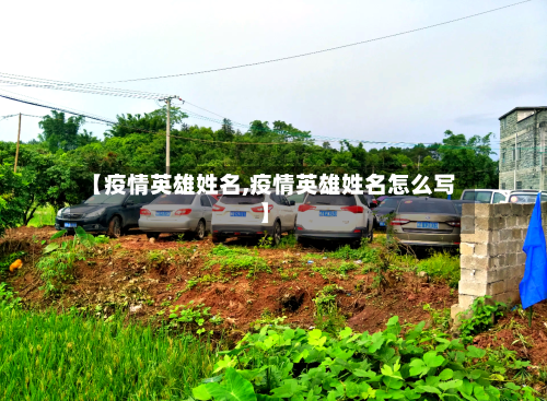 【疫情英雄姓名,疫情英雄姓名怎么写】
