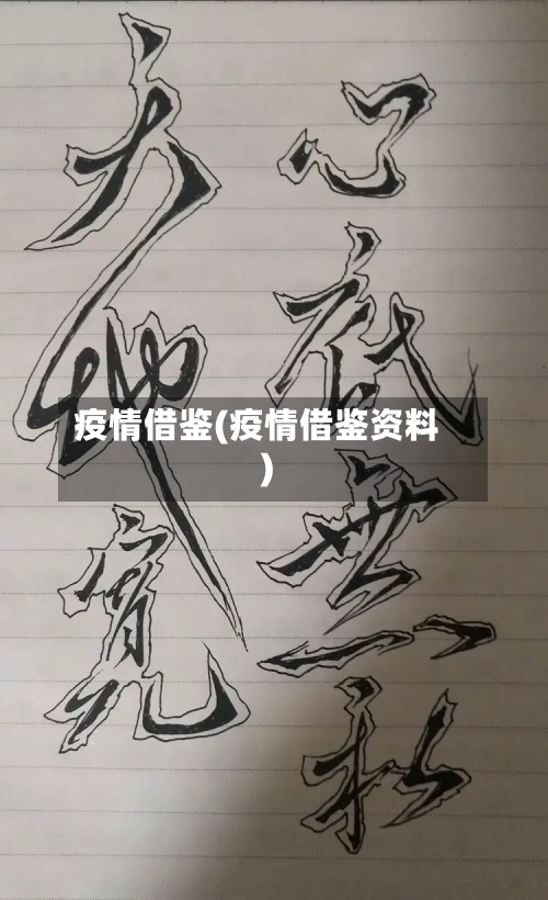疫情借鉴(疫情借鉴资料)