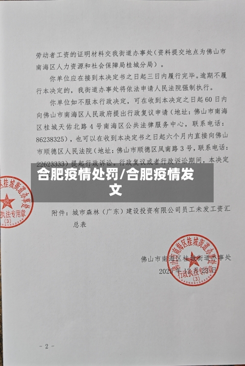 合肥疫情处罚/合肥疫情发文