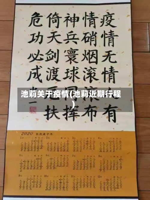 池莉关于疫情(池莉近期行程)